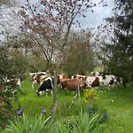 Bed and Breakfast Les Chantours, Domaine Naturel Arbore Et Fleuri De15 Hectares 3*