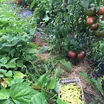 Bed and Breakfast Les Chantours, Domaine Naturel Arbore Et Fleuri De15 Hectares Saint-Antoine-Cumond