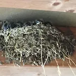 Les Chantours, Domaine Naturel Arbore Et Fleuri De15 Hectares Saint-Antoine-Cumond