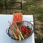 Les Chantours, Domaine Naturel Arbore Et Fleuri De15 Hectares 3*