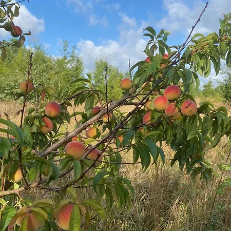 Les Chantours, Domaine Naturel Arbore Et Fleuri De15 Hectares Saint-Antoine-Cumond