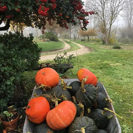 Bed & Breakfast Les Chantours, Domaine De 15 Hectares Arbore Et Fleuri *