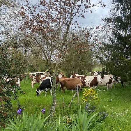 Bed & Breakfast Les Chantours, Domaine De 15 Hectares Arbore Et Fleuri *