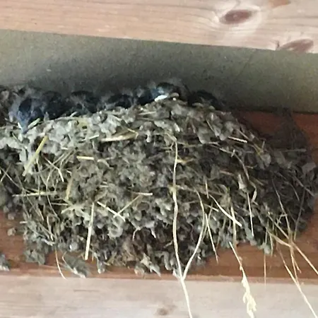 Les Chantours, Domaine Naturel Arbore Et Fleuri De15 Hectares Saint-Antoine-Cumond