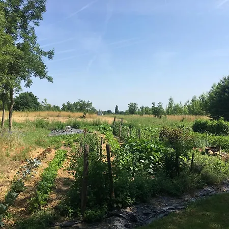Bed & Breakfast Les Chantours, Domaine Naturel Arbore Et Fleuri De15 Hectares 3*
