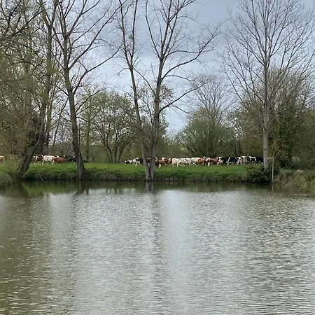 Les Chantours, Domaine De 15 Hectares Arbore Et Fleuri Saint-Antoine-Cumond