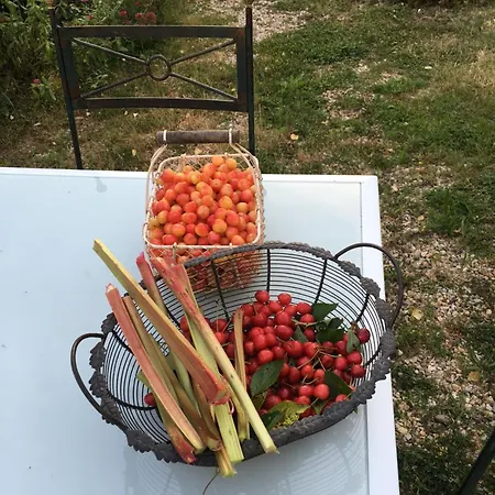 Les Chantours, Domaine Naturel Arbore Et Fleuri De15 Hectares 3*