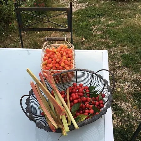 Les Chantours, Domaine De 15 Hectares Arbore Et Fleuri *