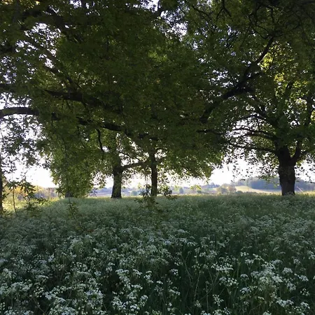 Les Chantours, Domaine Naturel Arbore Et Fleuri De15 Hectares
