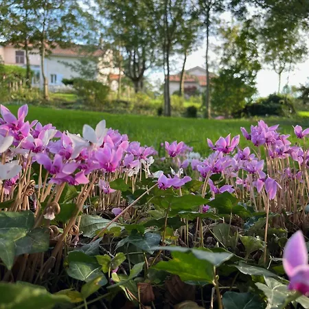 Les Chantours, Domaine Naturel Arbore Et Fleuri De15 Hectares